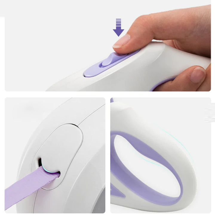 LED Light Up Dog Leash